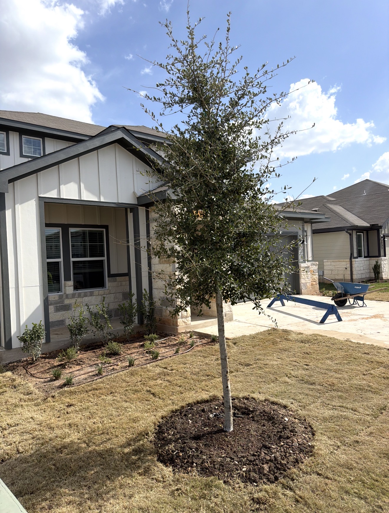 Elite Irrigation Solutions project