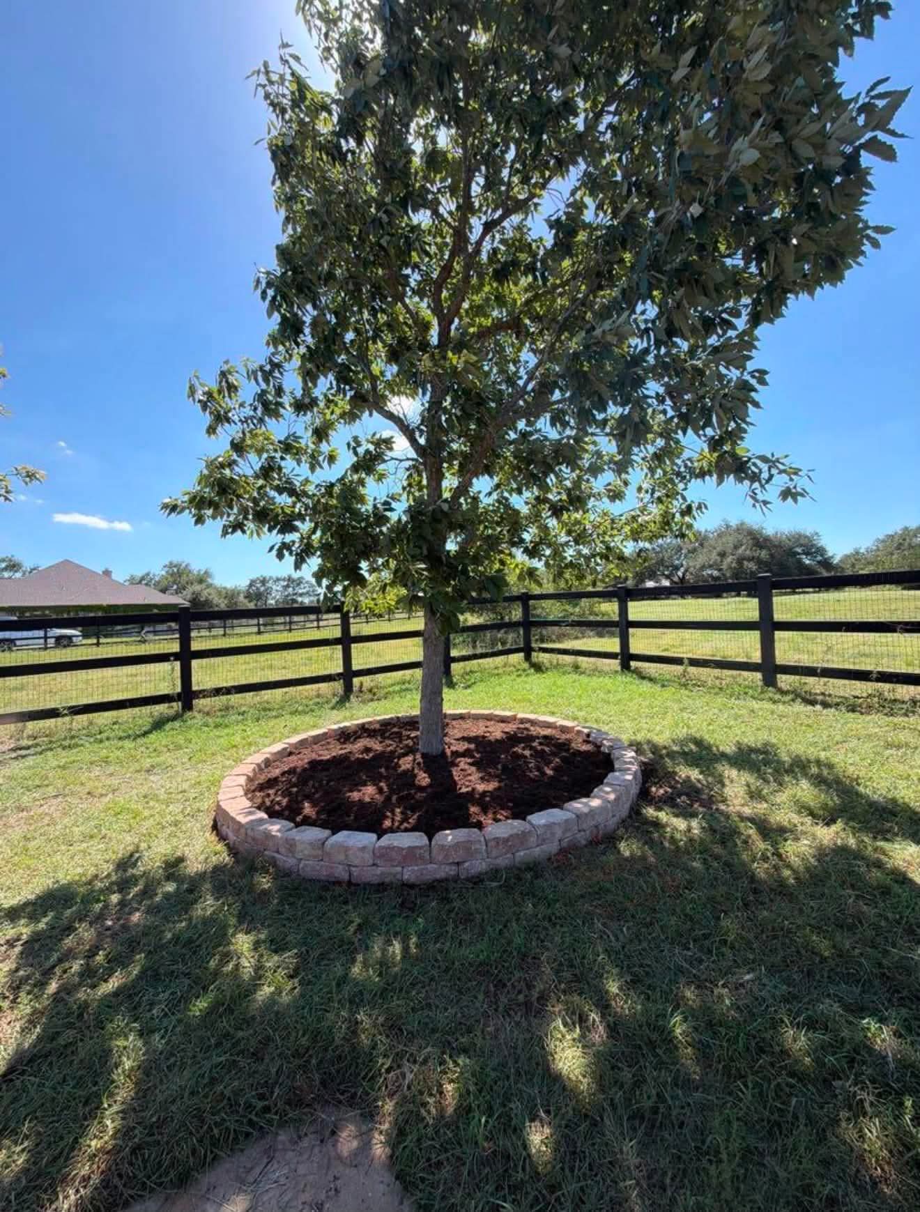 Tree installation with stone border